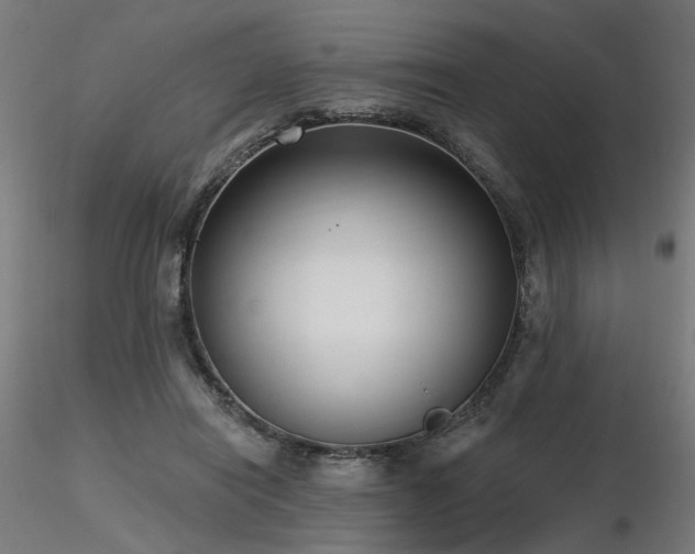 X0000116770454200912171537