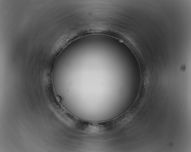 X0000116770455200912171537