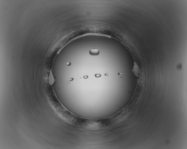 X0000116770456200912171537