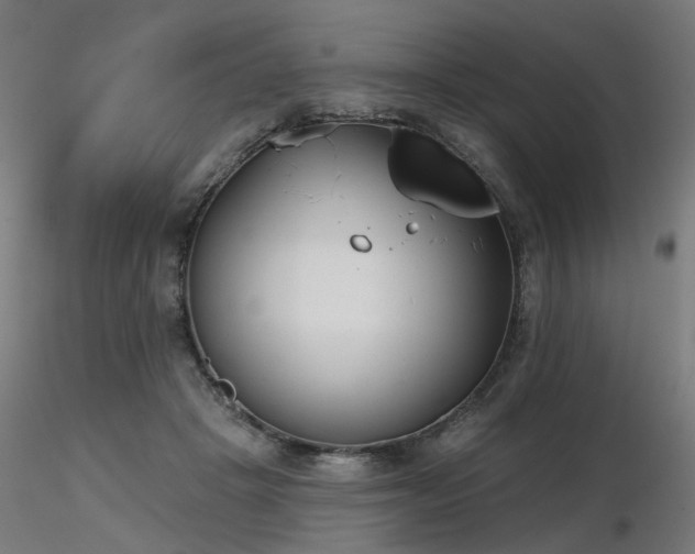 X0000116770457200912171537