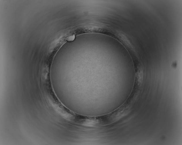 X0000116770458200912171537