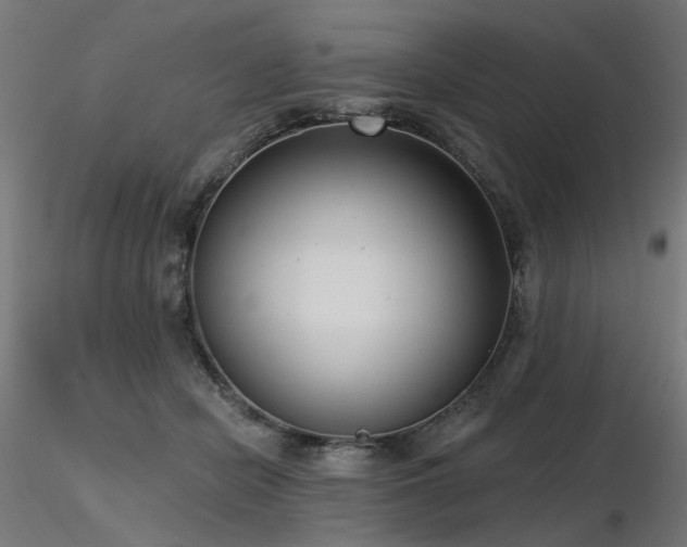 X0000116770462200912171537
