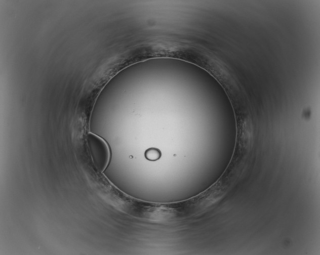 X0000116770463200912171537