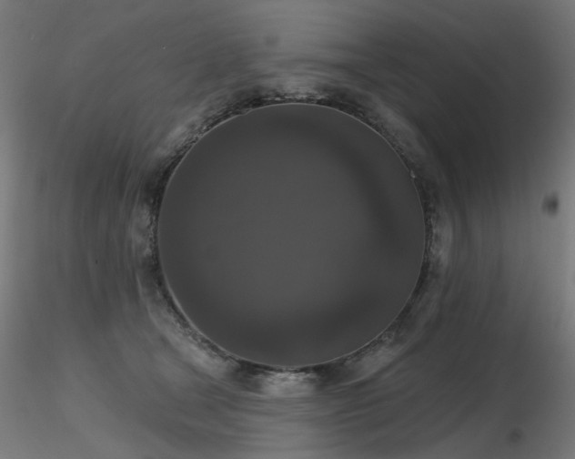 X0000116770465200912171537