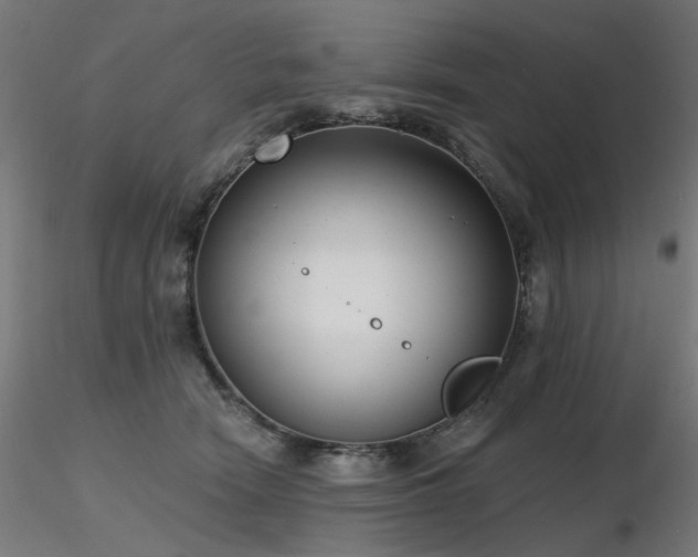 X0000116770466200912171537