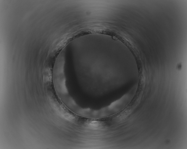X0000116770467200912171537
