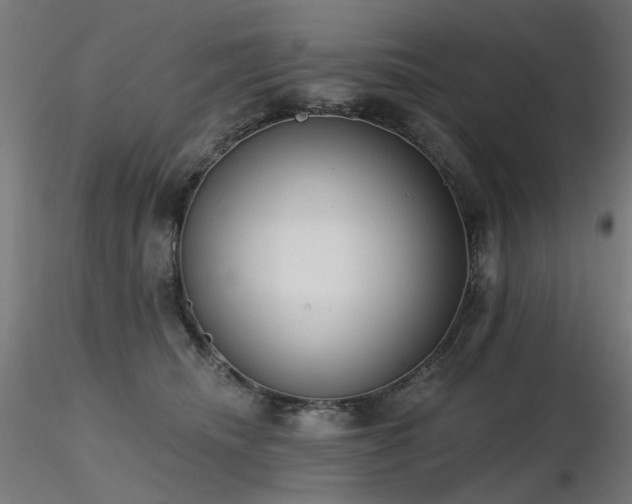 X0000116770468200912171538