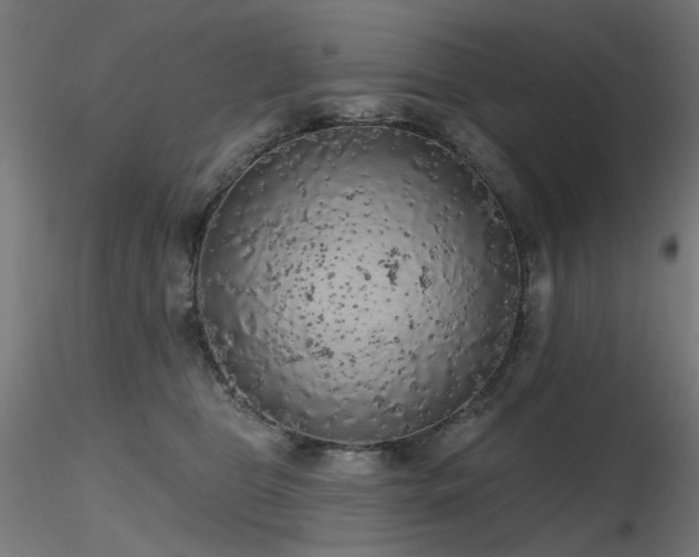 X0000116770469200912171538