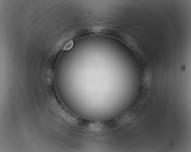 X0000116770470200912171538