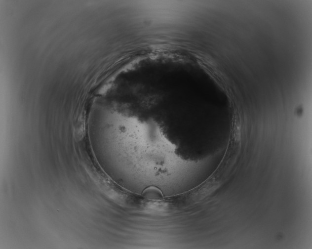 X0000116770471200912171538