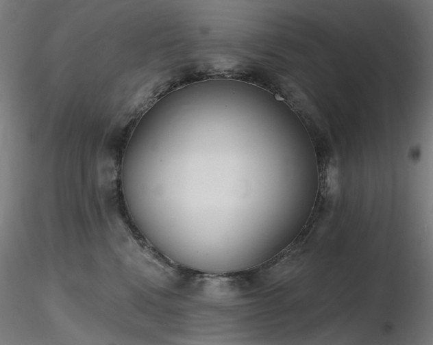 X0000116770472200912171538
