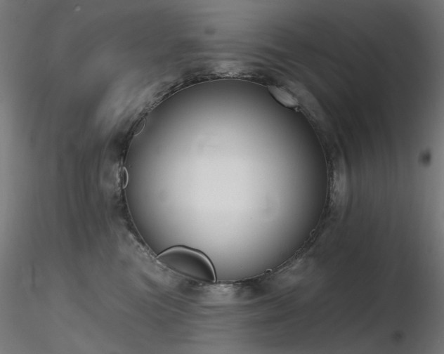 X0000116770473200912171538