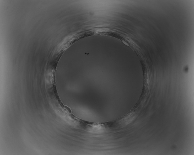 X0000116770475200912171538