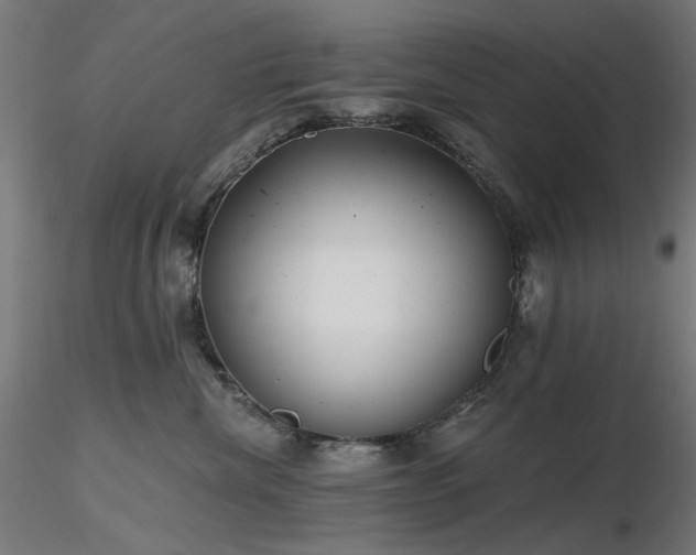 X0000116770476200912171538