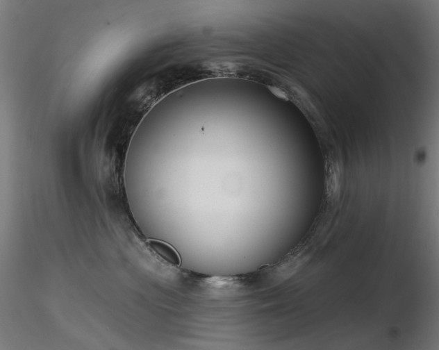 X0000116770477200912171538
