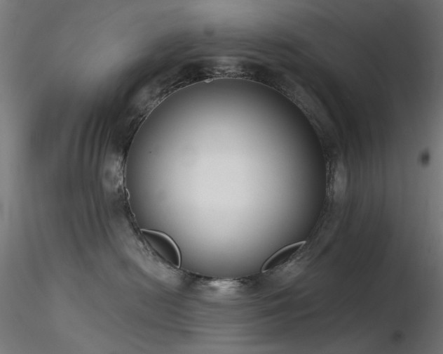 X0000116770478200912171538