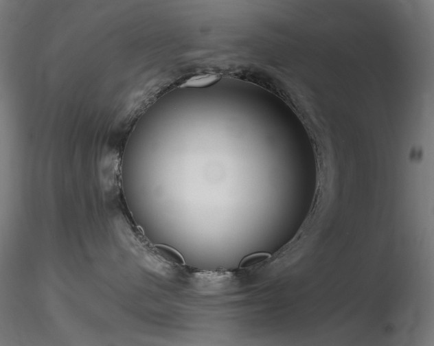 X0000116770480200912171538