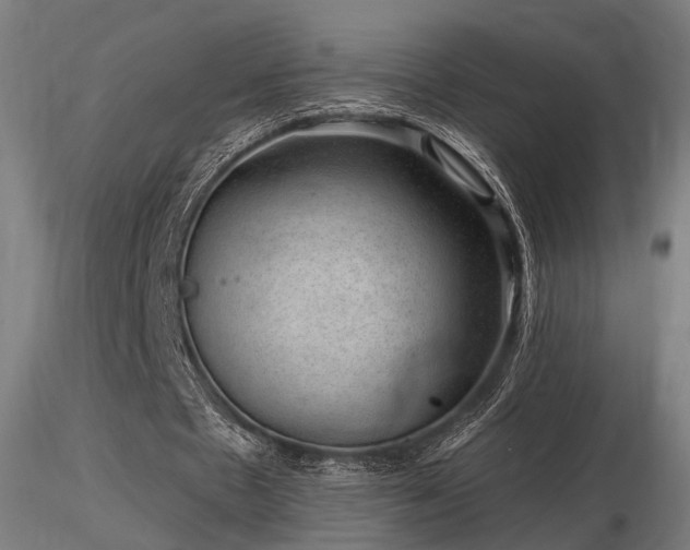 X0000116770481200912171537