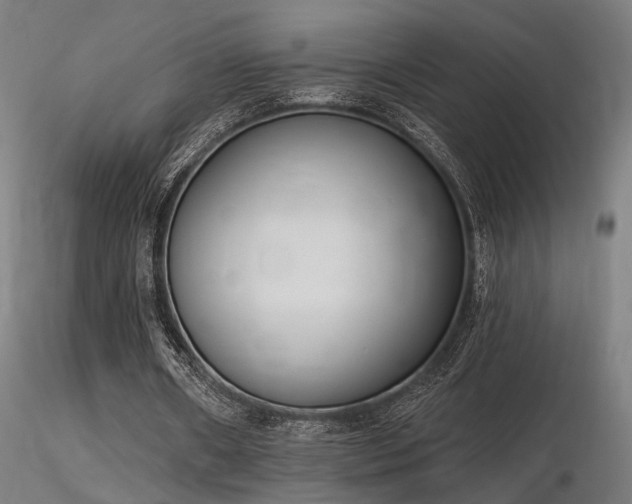 X0000116770482200912171537