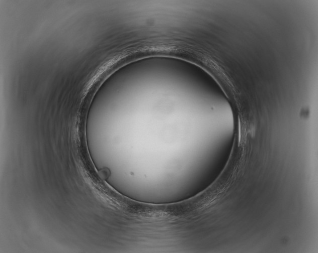 X0000116770483200912171537
