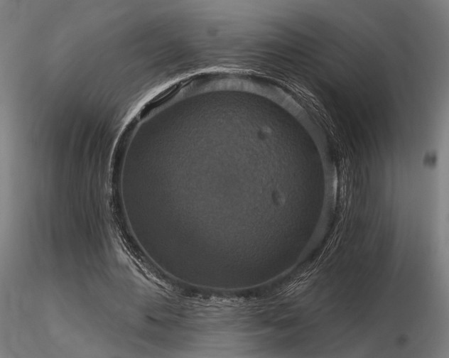 X0000116770484200912171537