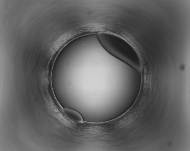 X0000116770485200912171537