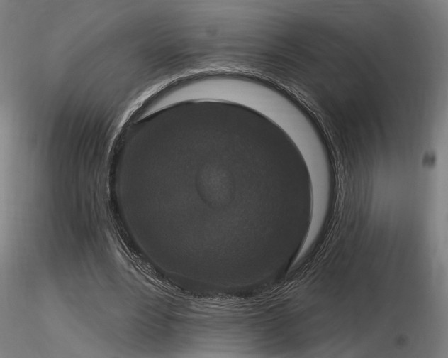 X0000116770488200912171537