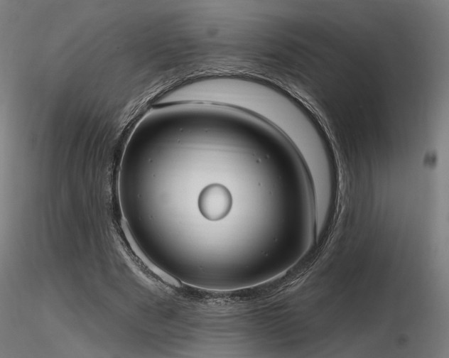 X0000116770489200912171537