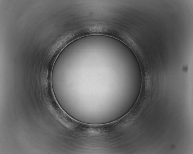 X0000116770490200912171537