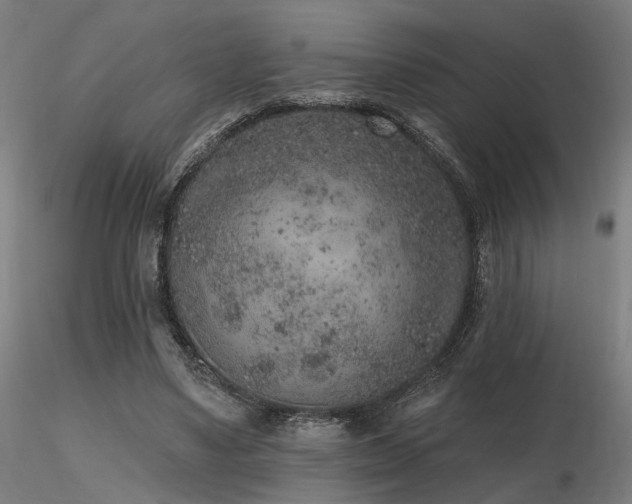 X0000116770491200912171537