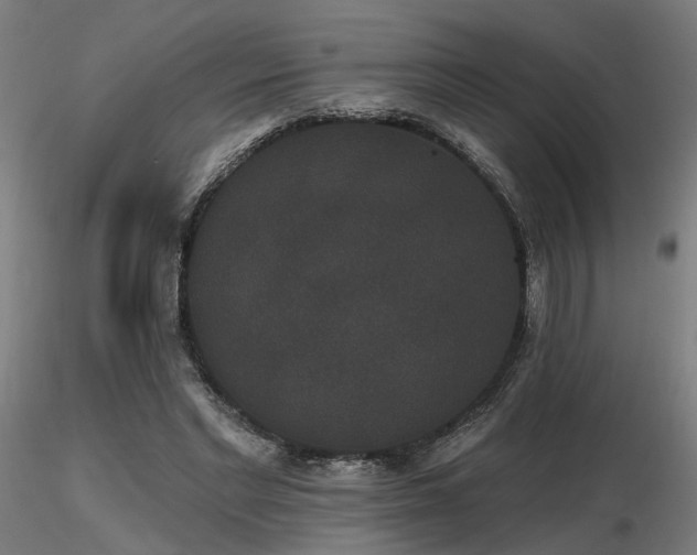 X0000116770493200912171537