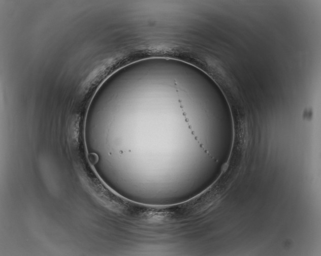 X0000116770495200912171537