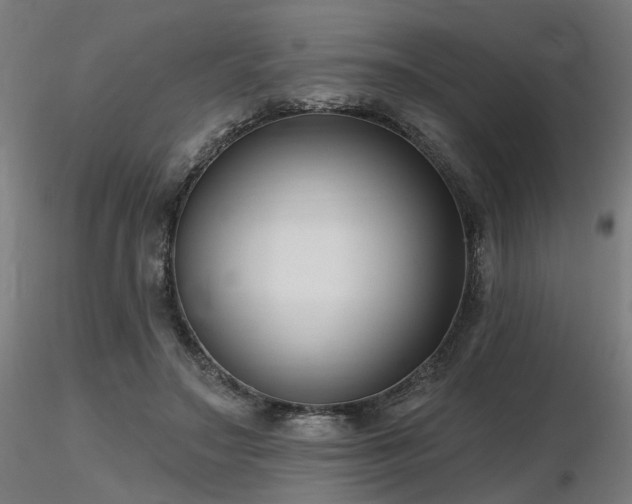 X0000116770499200912171537