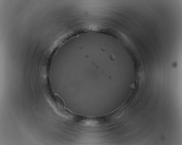 X0000116770500200912171537