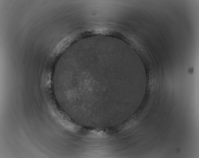 X0000116770502200912171537