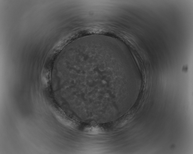 X0000116770503200912171537