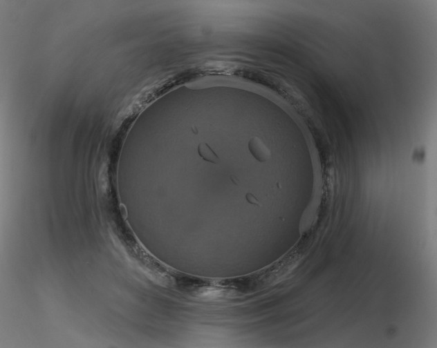 X0000116770504200912171537
