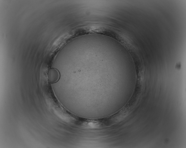 X0000116770506200912171537