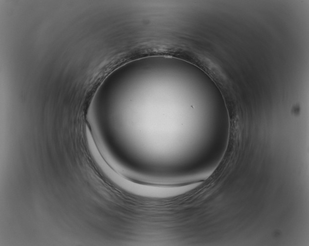 X0000116770509200912171537