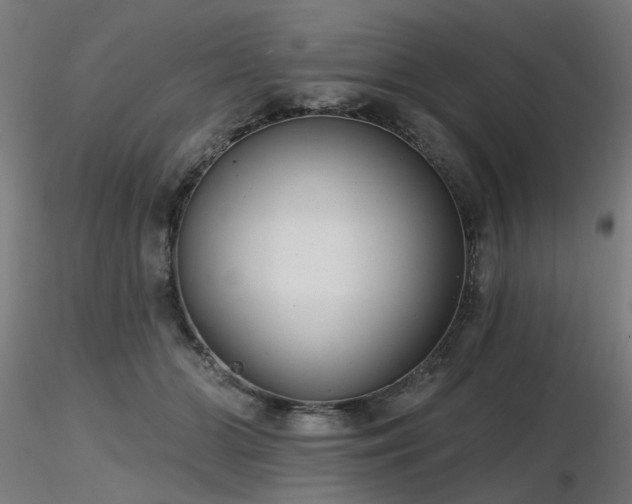 X0000116770510200912171537
