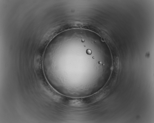 X0000116770511200912171537