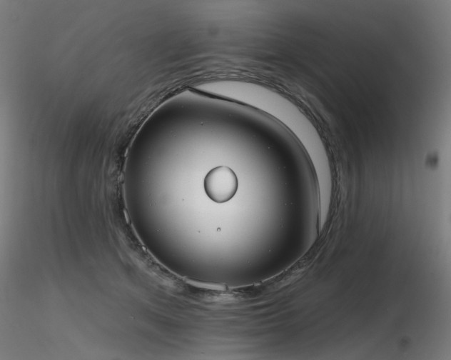 X0000116770513200912171537