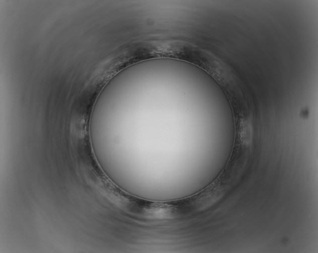 X0000116770514200912171537