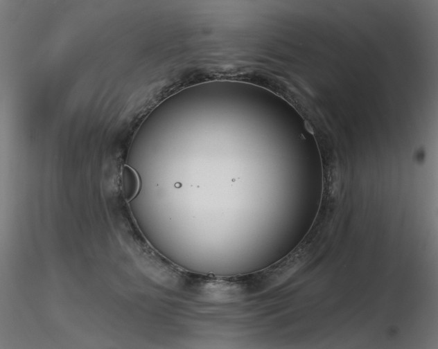 X0000116770515200912171537
