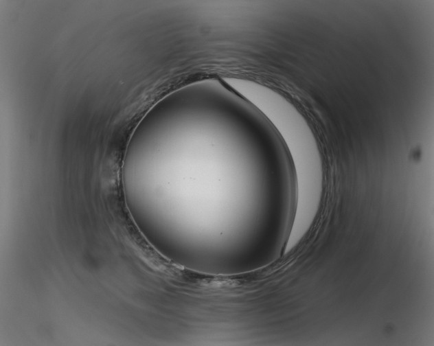 X0000116770517200912171537