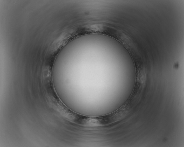 X0000116770518200912171537