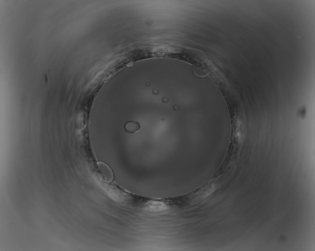 X0000116770519200912171536