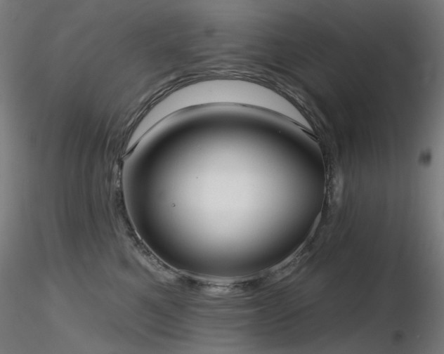 X0000116770521200912171536