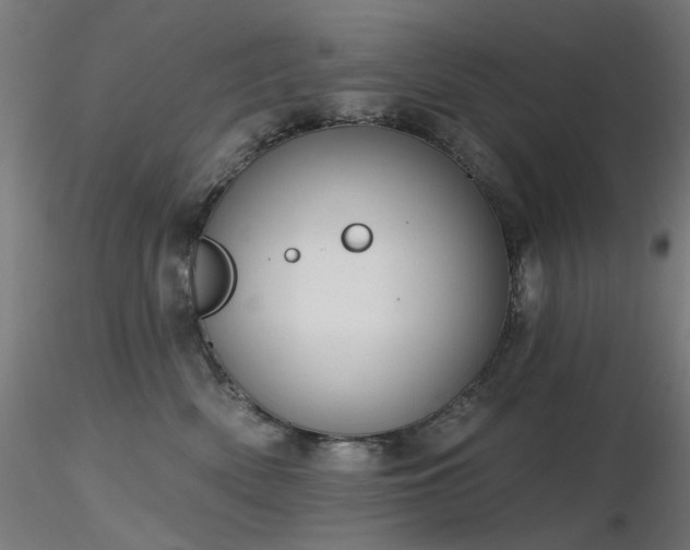 X0000116770522200912171536