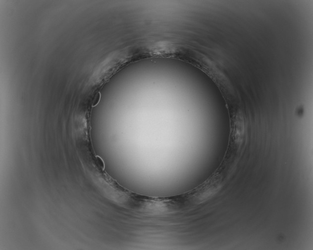 X0000116770523200912171536